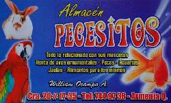 Almacen Pecesitos armenia, Colombia