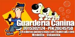 guarderia canina en medellin medellin, colombia