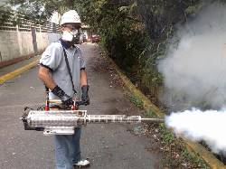 empresas de fumigacion contra chiripas  caracas , venezuela 