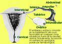 GINECOLOGIA  692 0191 lima, peru