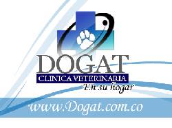 Clinica veterinaria a domicilio bogota, colombia