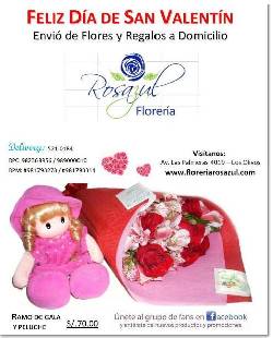 Las ms hermosas Rosas y Regalos Dia de San Valentin Lima, Per