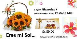 Los Olivos Envio de Flores para toda Ocasin y Lugar Lima, Peru