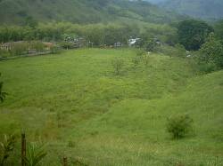 VENTA FINCA GANADERA QUIMBAYA cartago, colombia