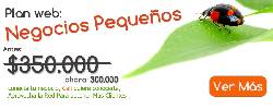 Promocion paginas web desde 300.000 Cali, Colombia