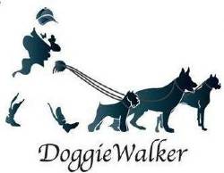 ADIESTRAMIENTO CANINO DOGIE WALKER cali, colombia