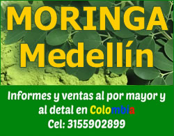 Moringa Medellin Cel 3155902899 Medellin, Colombia
