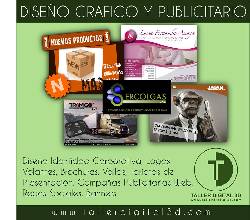 DISEO FLYERS, VOLANTES, PORTAFOLIOS, CATALOGOS Bogot, Colombia