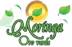 Distribuidores de Moringa Medellin, Colombia