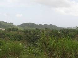 Expreso 142 Hacia Corozal Bayamn, Puerto Rico