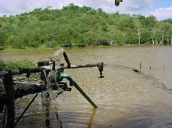 18.000.000 m2 (1.800 Hectreas)VENDO A 0,35 US$/m2 Cali, 