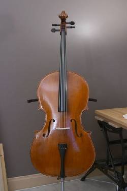 clases de chelo( violoncello) bogota, colombia 