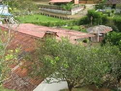 VENDO FINCA EN CONDOMINIO EN TOCOTA cali, colombia
