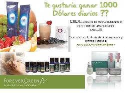 Empresario Busca Personas Emprendedoras  Posadas, Argentina