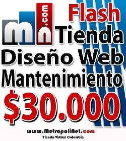 Diseo de pgina web $30.000 bogota, colombia