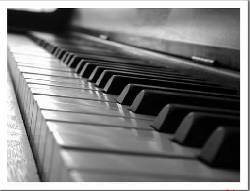Se Necesitan Musicos profesionales  Medellin, Colombia