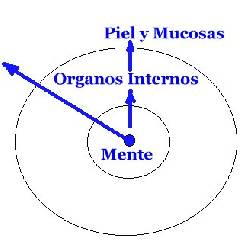 Dermatologo en Lima Peru - dermatologia natural ho Lima, Per�