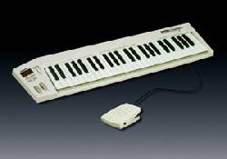 EXELENTE CONTROLADOR O TECLADO DE PIANO Barranquilla, Colombia