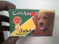 Todo por $10.000 Cali, Colombia