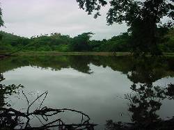 1.800 HECTAREAS VENDO Finca en Venezuela SanJuanMorros, Venezuela