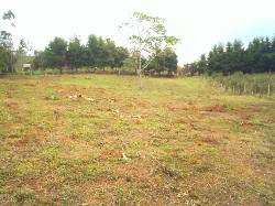VENDO LOTE EN LA CUMBRE A TAN SOLO $16500M2 cali, colombia