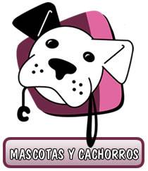 Cachorros para la venta. Medellin, Colombia