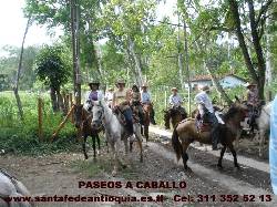 Caballos Santa Fe de Antioquia Medellin Colombia medellin, colombia