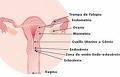 SOLUCION M�DICA ATRASO MENSTRUAL TELF. 999 659 807 lima, peru
